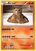 fire owl