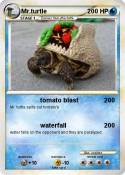 Mr.turtle