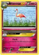 Flamingo