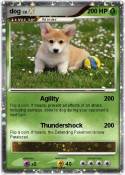 dog