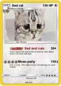 Sad cat