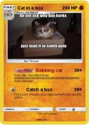 Cat in a box