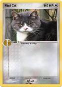 Mad Cat