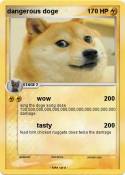 dangerous doge