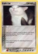 Knife Cat