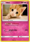 kitten