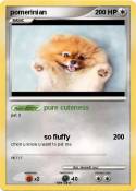 pomerinian