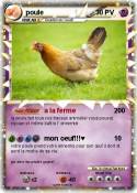 poule