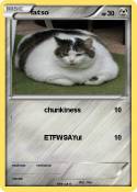fatso