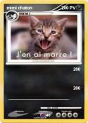 mimi chaton