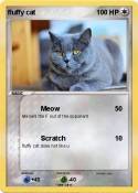 fluffy cat