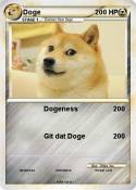 Doge