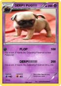 DERPY PUG!!!!!