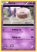 Fat Cat