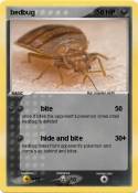 bedbug