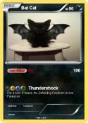 Bat Cat