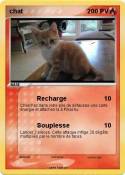 chat