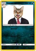 human cat
