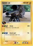 karate cat