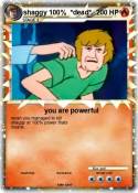shaggy 100%