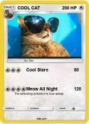 COOL CAT