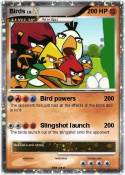 Birds