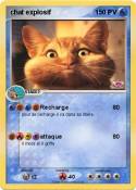 chat explosif