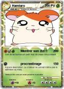 Hamtaro