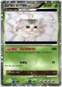 CUTEY KITTEN