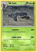 Mr.Turtle