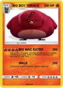 BIG BOY TERNCE