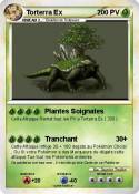 Torterra Ex