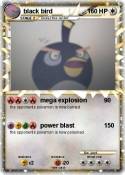 black bird