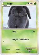 loppy