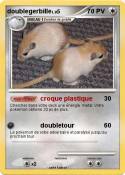doublegerbille