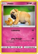 puppy