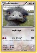 contruche