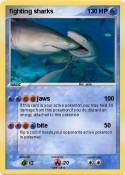 fighting sharks