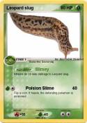 Leopard slug