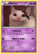 Polite cat
