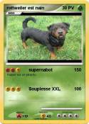 rottweiler est