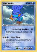 Ninja Mudkip