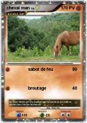 cheval man