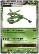 Snake flyer