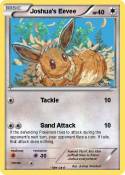 Joshua's Eevee