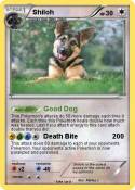 Shiloh
