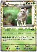 cat