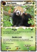 Red Panda