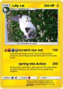 Lilly cat