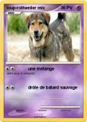 loup-rottweiler